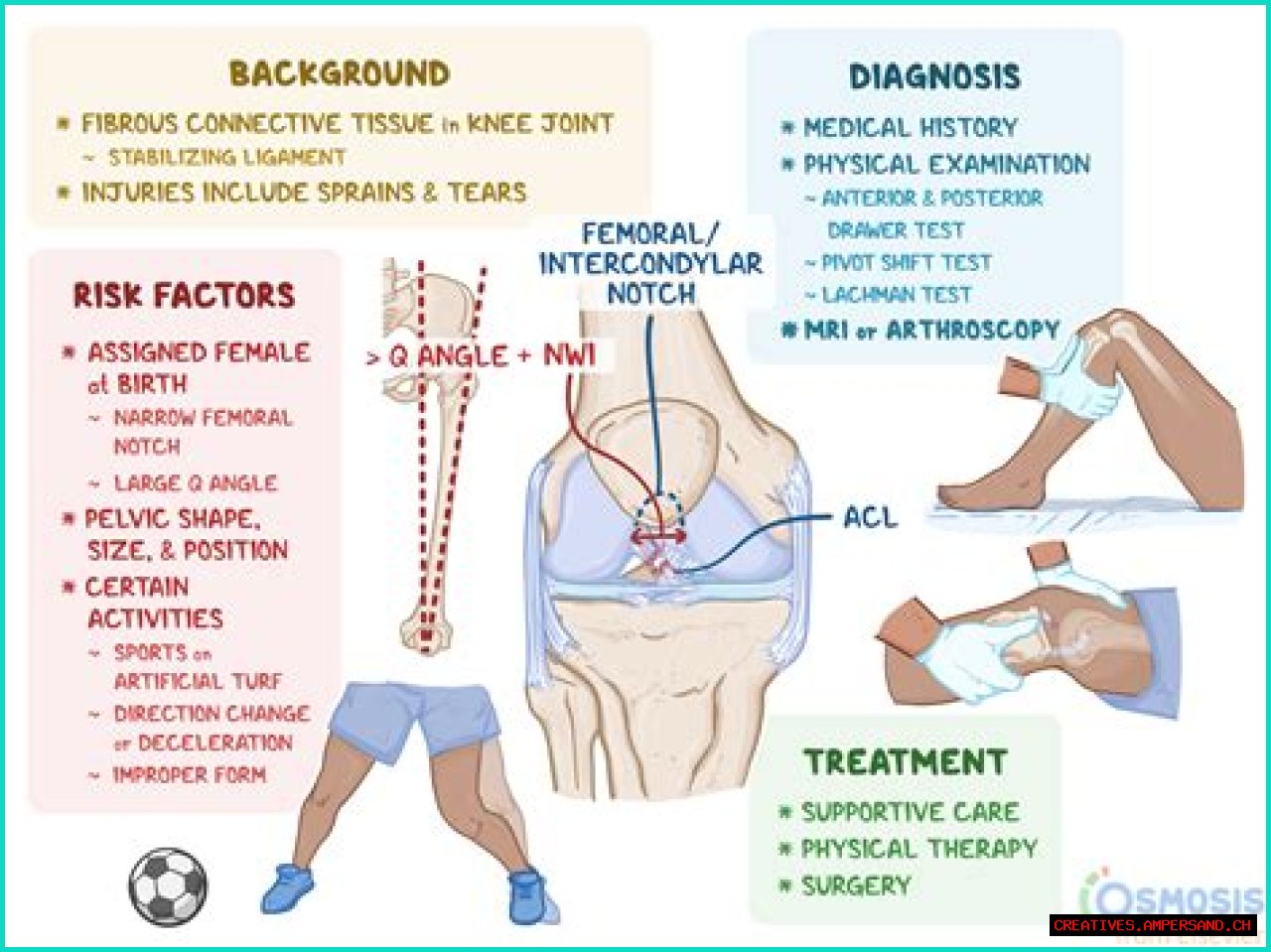 Understanding Fluid Buildup In The Knee: Causes, Symptoms, And Treatment Options